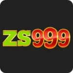 zs999 game official icon