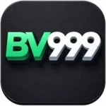 Bv999 game app icon