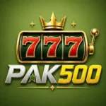 pak500 game app icon